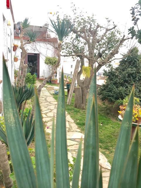 Hostal Casa Torrent Canet De Mar Exteriér fotografie